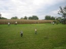 Bild-37 * 800 x 600 * (77KB)